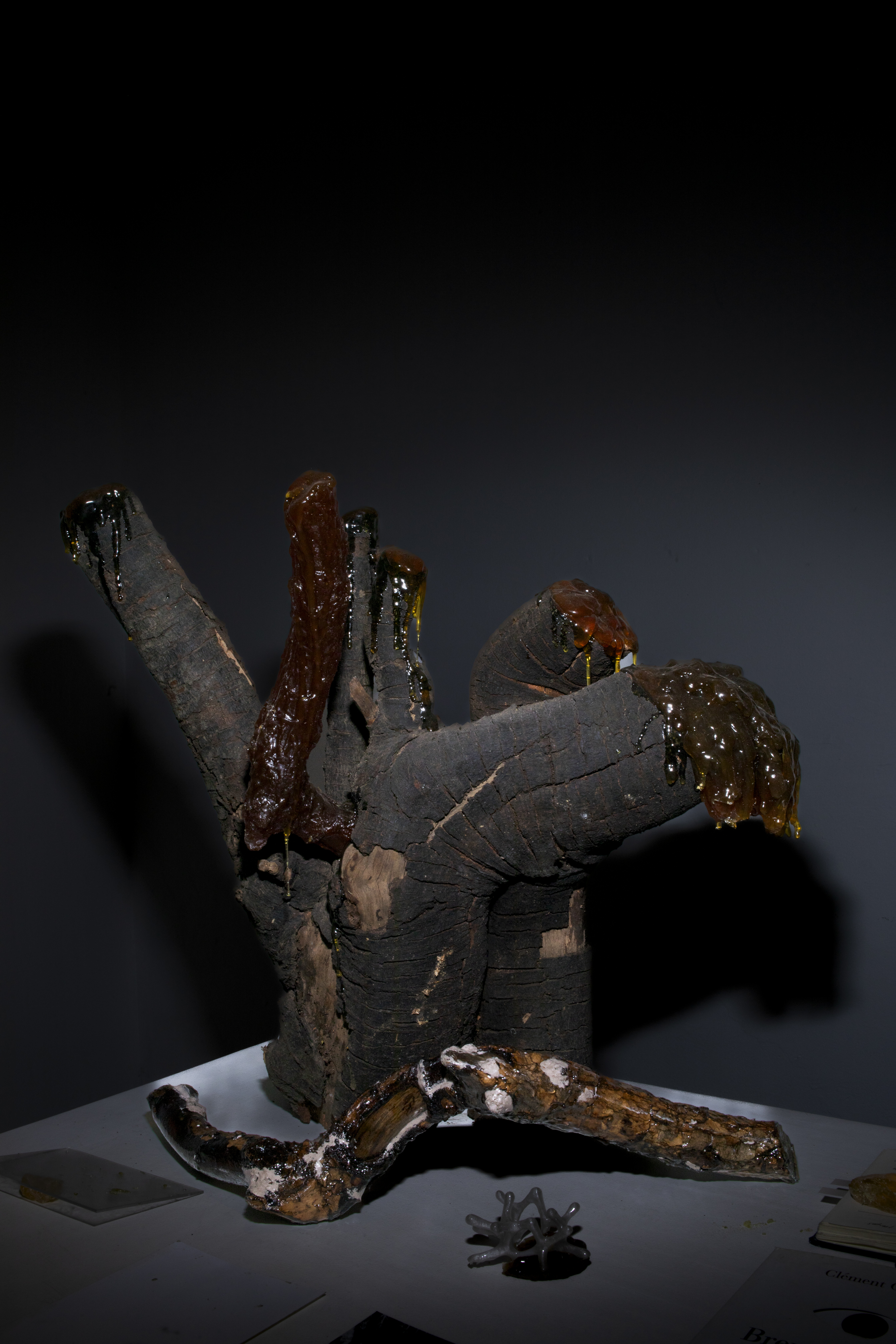 Árbol que exuda